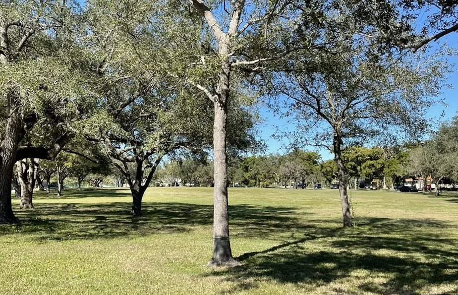 John C. Gifford Arboretum, United States